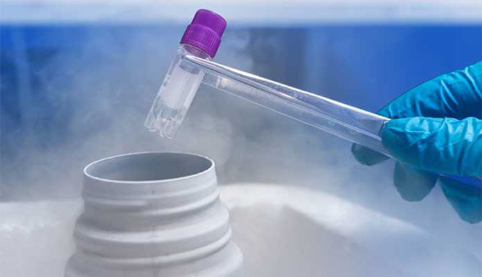 dondurulmuş embriyo transferi