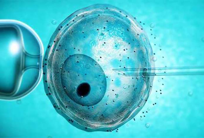 embriyo donasyonu nedir