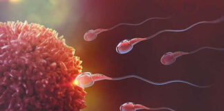 sperm sayısı kaç olmalı