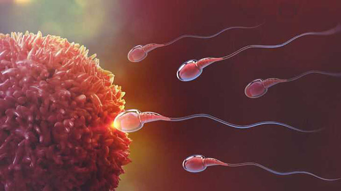 sperm sayısı kaç olmalı