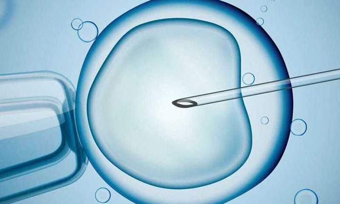 Tüp Bebek Tedavisinde Yumurta Kalitesini Artırmak
