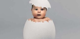 yumurta donasyonu nedir