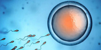 sperm donasyonu aşamaları