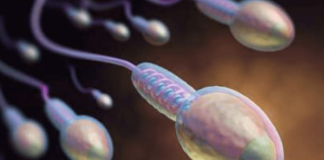 Sperm Sayısını Etkileyen Farktörler