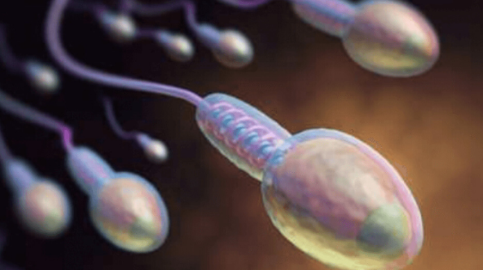 Sperm Sayısını Etkileyen Farktörler