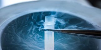 Sperm Dondurma Nedir, Fiyatı Ne Kadar?