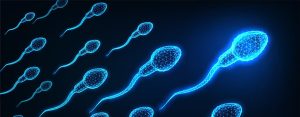 Düsük Sperm Sayısı Tedavisi