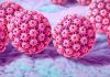 HPV Nedir?