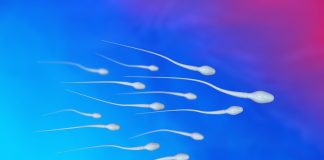 Sperm Şekil Bozuklukları