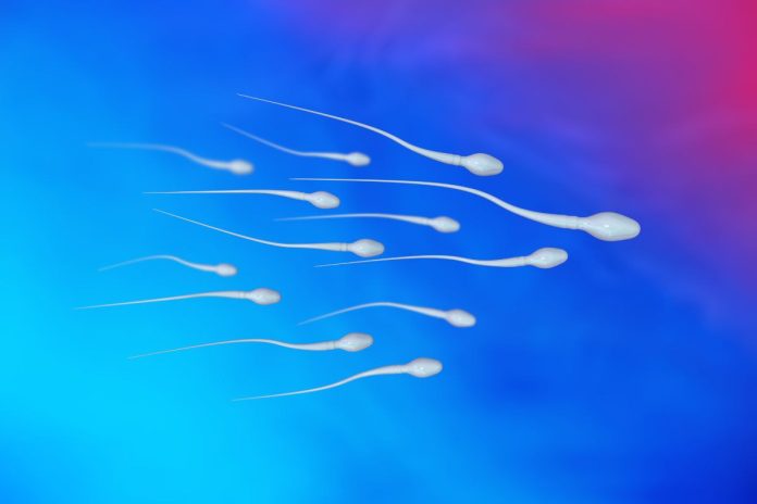 Sperm Şekil Bozuklukları
