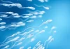 Sperm Donasyonu Fiyatları 2026