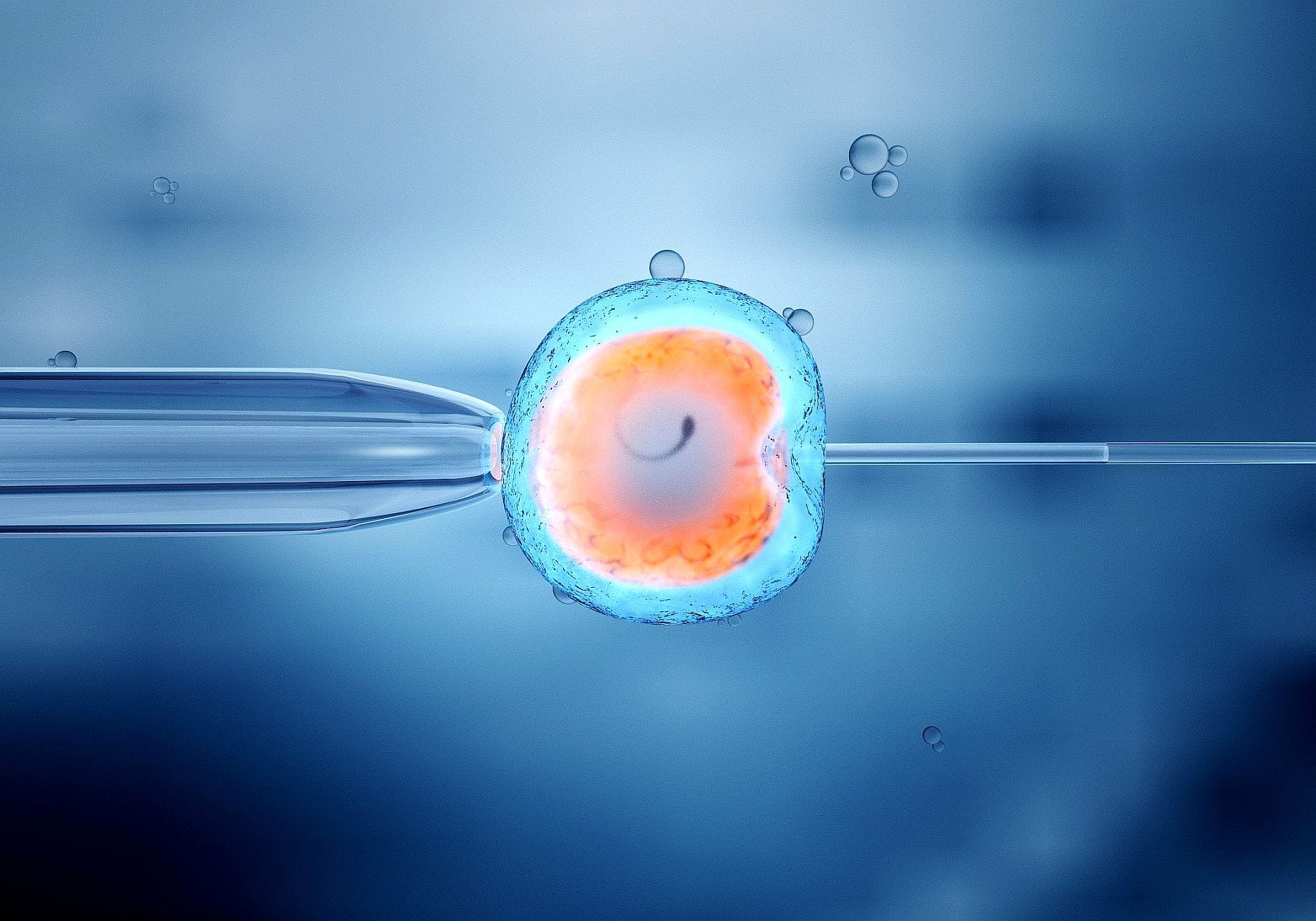 IVF Prices 2026 | Current IVF Treatment and Success Rates
