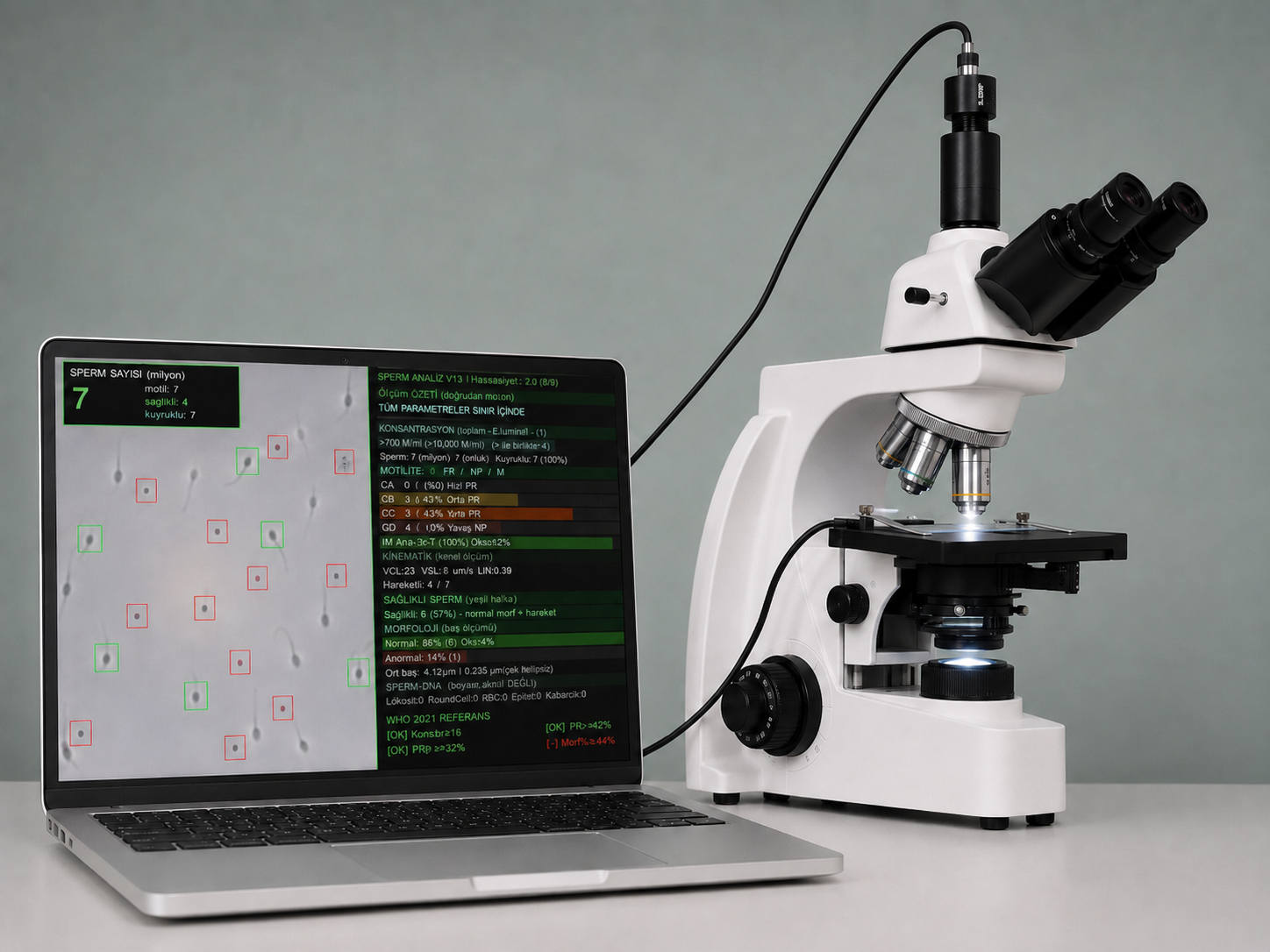 Sperm Analizinde AI Destekli Yardımcı Sistem