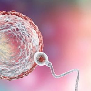 Egg Donation Prices 2026 fertility treatment