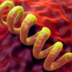 Frengi (Sifiliz) Nedir?