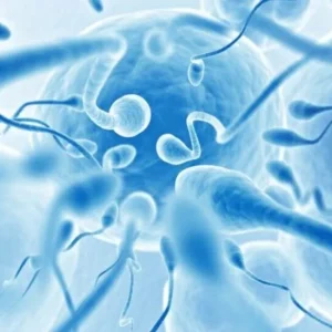 Sperm Donasyonu Fiyatları 2025