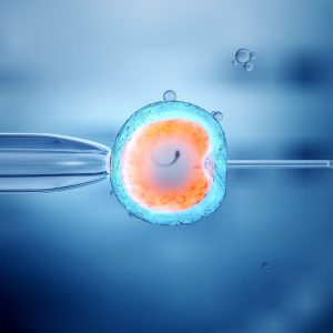 IVF Prices 2026 treatment process